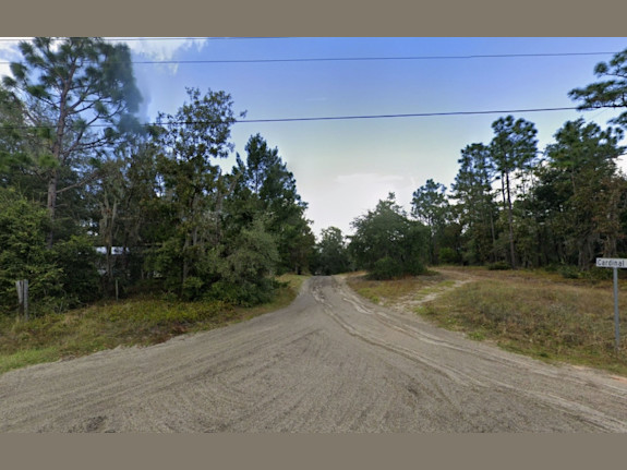 Corner Lot in Florahome Florida