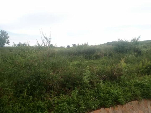1000 Acres / 1.5 Square Mile In Kyankwanzi District