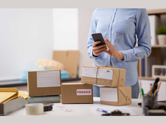 Printing, Copying and Shipping Franchise in Boise