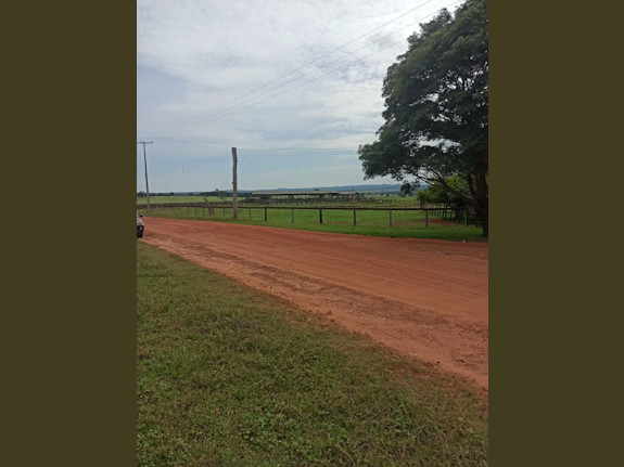 61,776 Acre Soy Bean/Cattle Ranch Paraguay