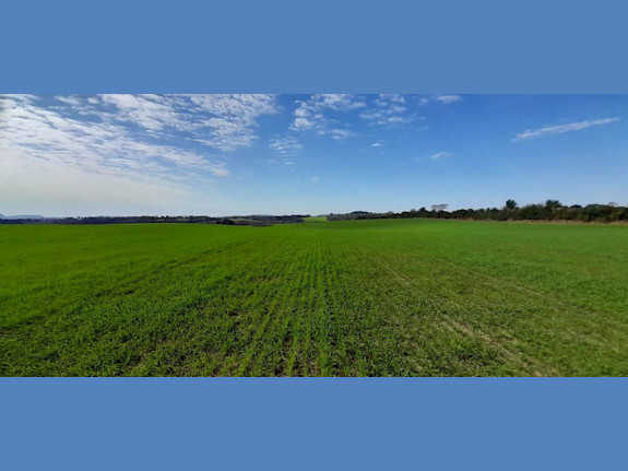 Agriculture Farm in Caazapa, Paraguay