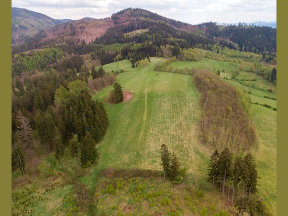 Exclusive Investment Property in Poland