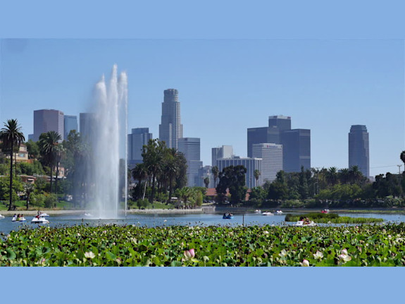 Looking for an Experienced LA Real Estate Agent?