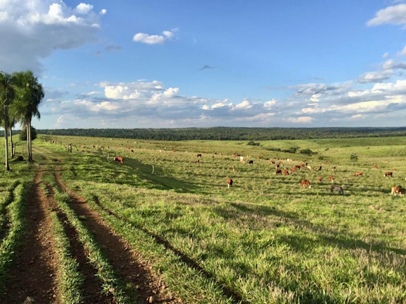 Developed Mixed Farm in Caaguazu, Paraguay