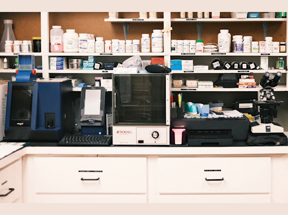 Small Animal Veterinary Clinic For Sale