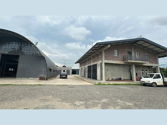 Bay Leaves Production Business And Factory Sell