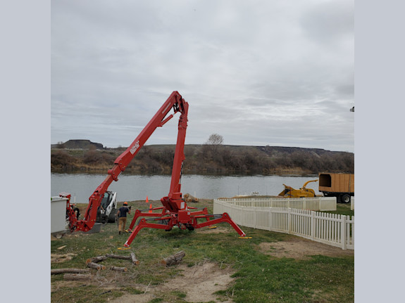 Professional Tree Company For Sale