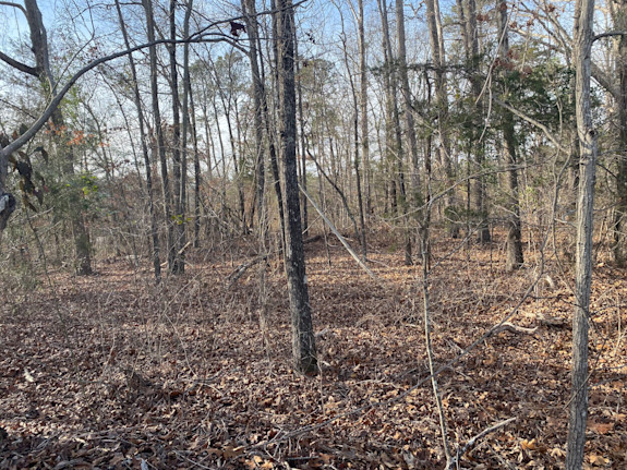 93.55-Acre Site Zoned AG