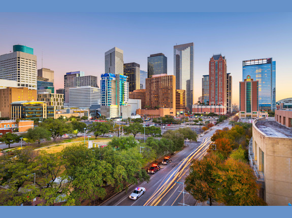 Established & Profitable Vet Clinic-Houston