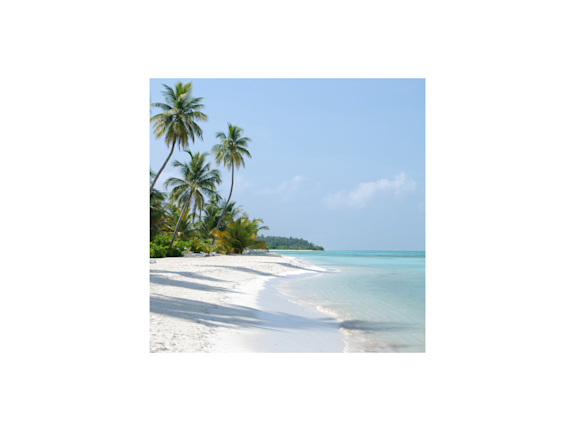 Luxurious Management Rights Hotel Resort for Sale