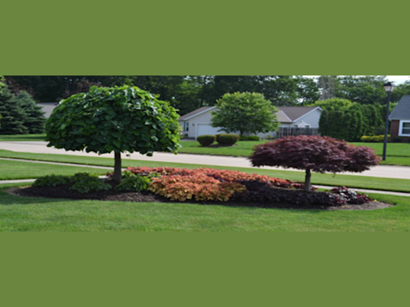 Very Stable Landscaping and Tree Service Business