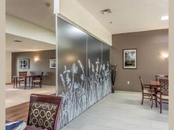 Window Tinting Business in Buncombe County NC