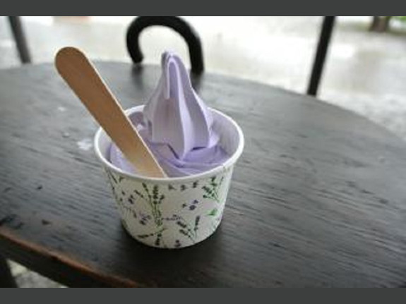 Frozen Yogurt Shop for Sale in PA