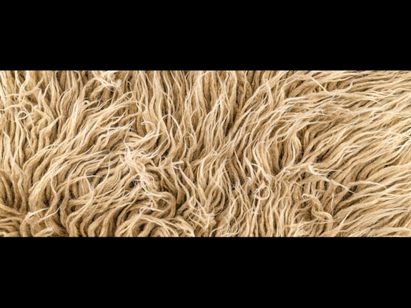 Reduced - eCommerce Specialty Decor - Relocatable