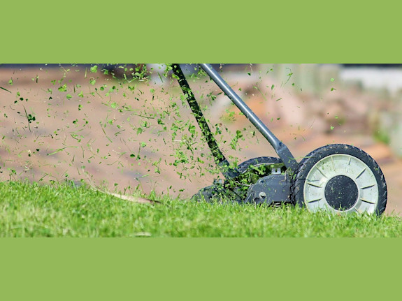 Established Landscaping Company for Sale in NJ