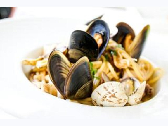 Established Bar and Grill in Horry County, SC