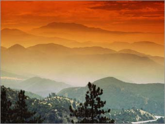 Optometry Practice For Sale Grossing $900K