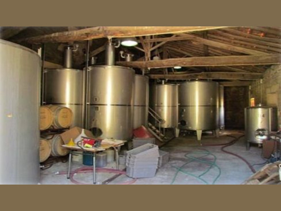 Farm in Douro 70Ha - Porto Wine Production
