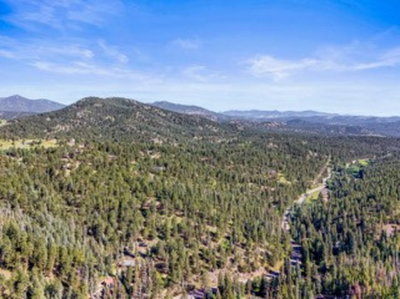 Stunning Mountain Development In Evergreen, CO