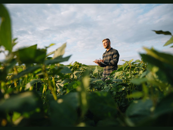 Grain Elevator Business Operation / Real Estate - 1.4M Grain Capacity