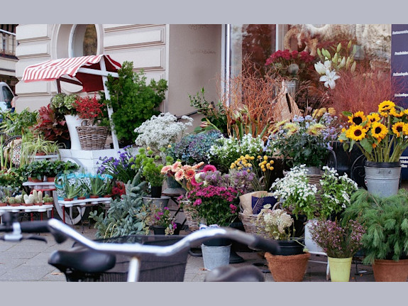 Florist Business For Sale in New Jersey