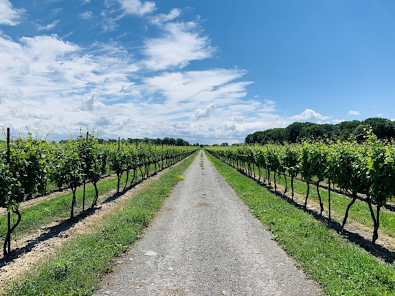 Winery, Vineyard & Event Centre