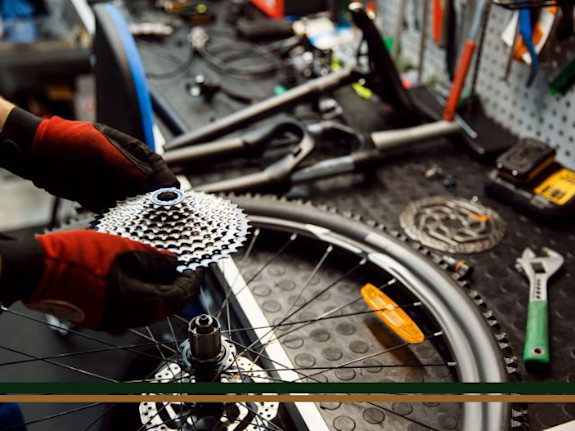 For Sale: Thriving Beachside Bicycle Store