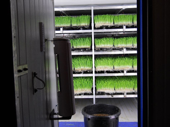 Acquire  Farmory and Reap the Harvest