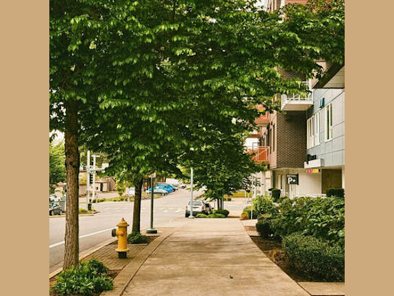 Downtown Redmond, WA Family Chiropractic Practice