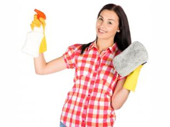 Cleaning Franchise Territories for Sale -NY