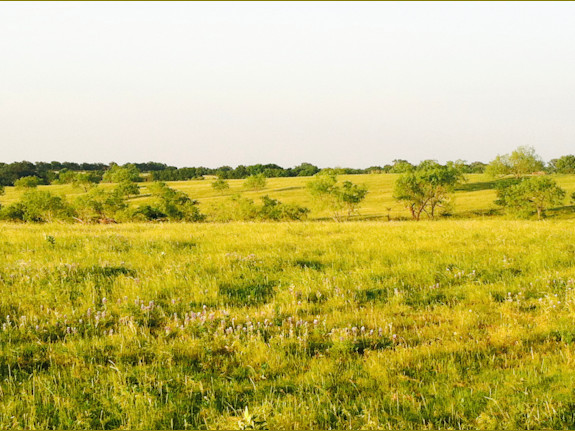 Ellis Co., Texas Land Offering High Profit Gains