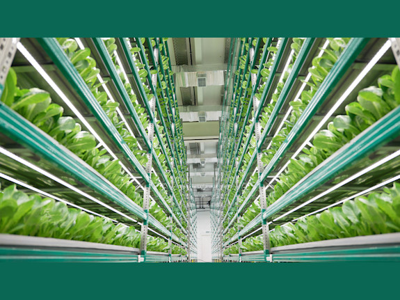 Cultivate a Meaningful & Profitable Future