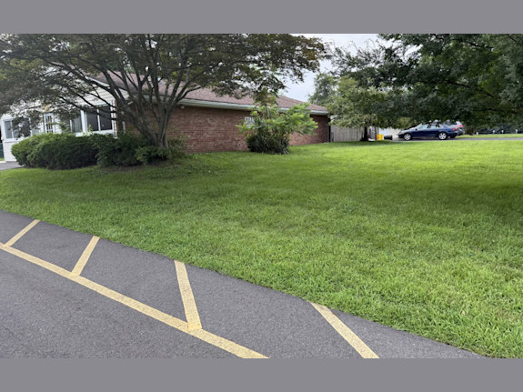 Day Care & Real Estate