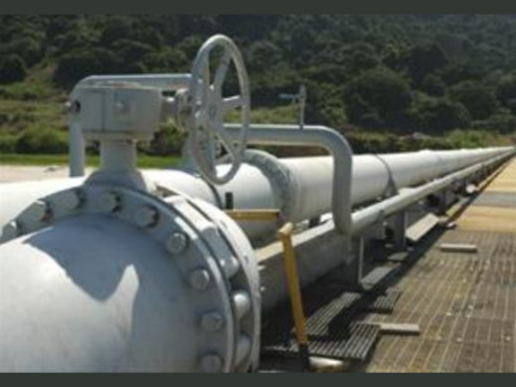 Fuel Trader Seeks Buyers