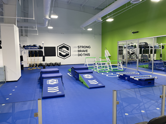 Profitable Kidstrong For Sale