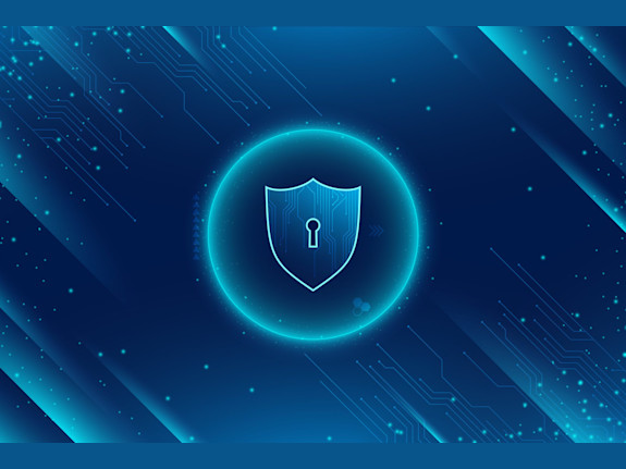 10-Year-Old High-Speed VPN with USA, UK, European customers