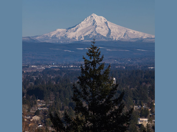 Greater Portland, OR Area Vet Practice for Sale