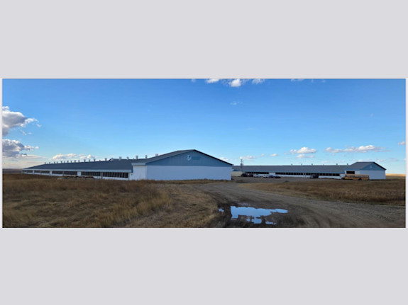 Cannabis EU-GMP Certification Q1 2026. Canada Hub