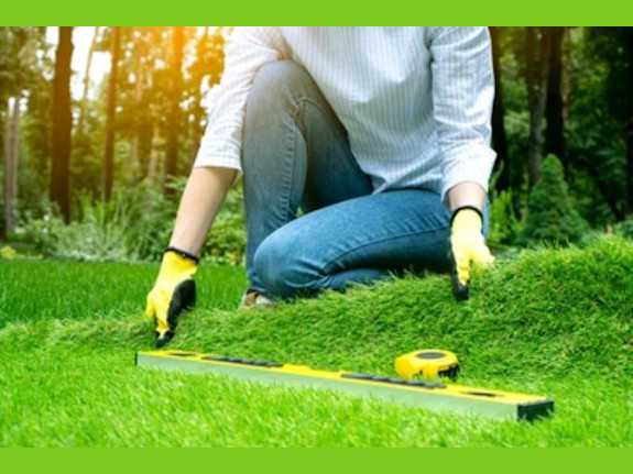 Artificial Grass Surfacing