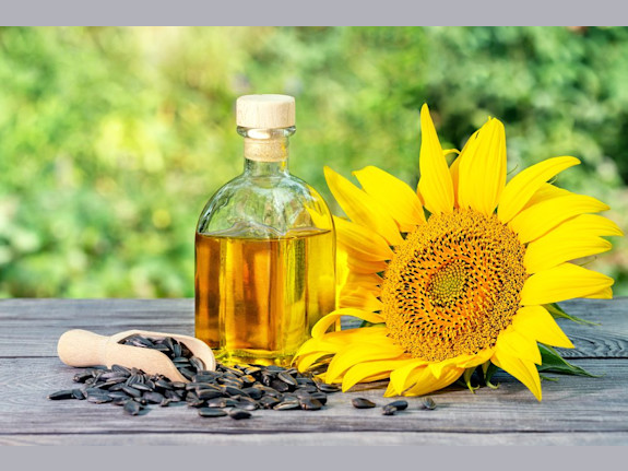 Sunflower Oil Shippers from Turkey