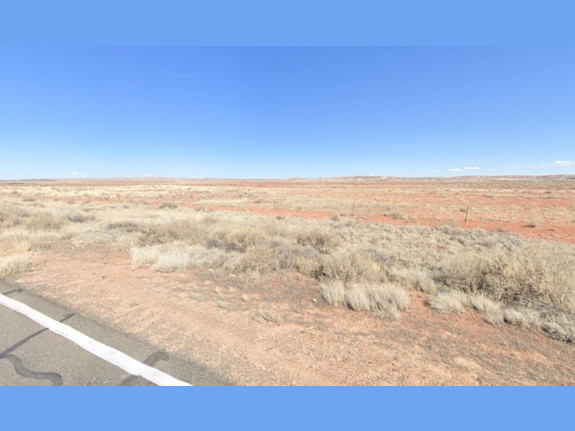 Cheap 40 Acres Mostly Flat Land near St Johns