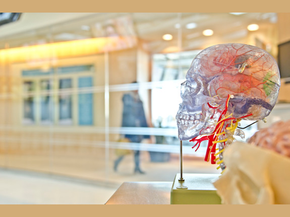 Neurology Medical Practice for Sale