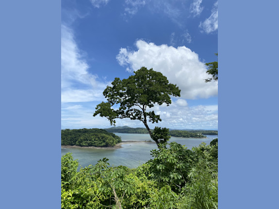 Land For Sale In Boca Chica, Chiriqui Panama