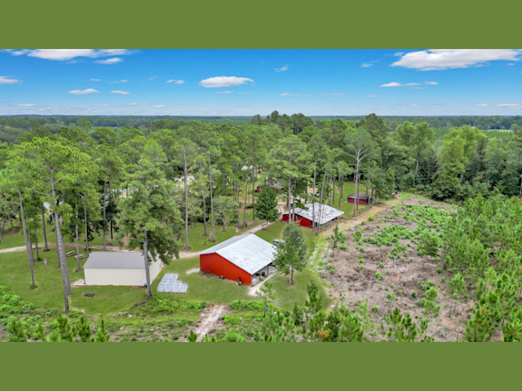 Georgia Olive Farm and Business For Sale