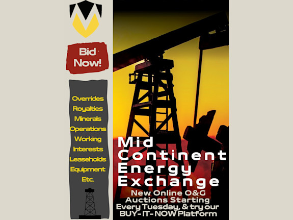 MCEE Online O&G Auctions starting every Tuesday