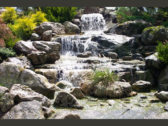 Landscape Design Business for Sale in NC