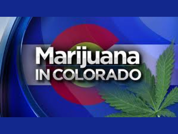 Recreational Dispensary and Attached Grow