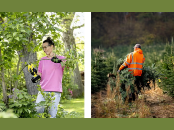 Tree Care Management