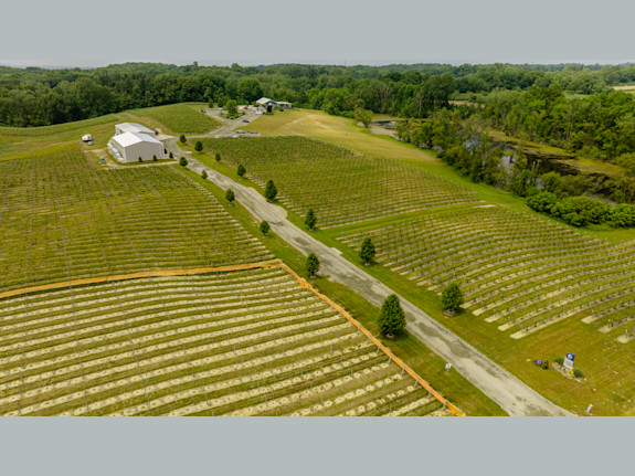 Profitable Absentee Owned Winery With Vineyards