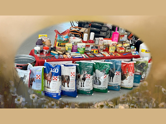 Farm & Feed Supply near I-10 with Property